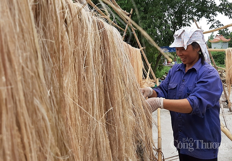 Sợi chuối Việt và kỳ vọng chinh phục thị trường tỷ USD