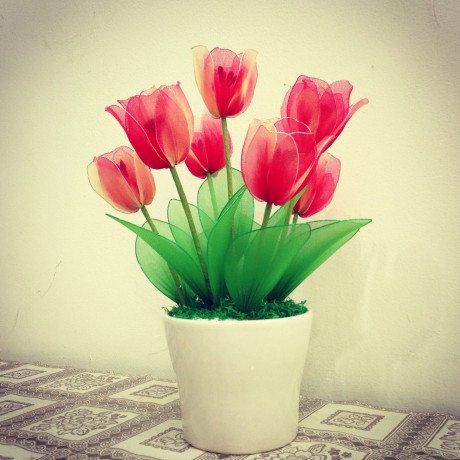 Cách làm hoa Tulip, Ly bằng vải voan để trang trí ngày tết